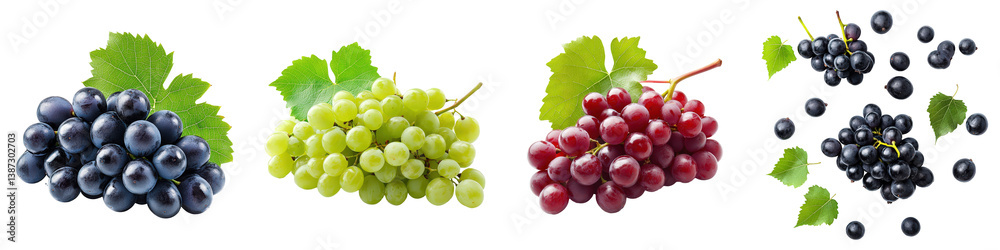 Red, green, and black grapes with leaves. Red, green, and black grapes with leaves.