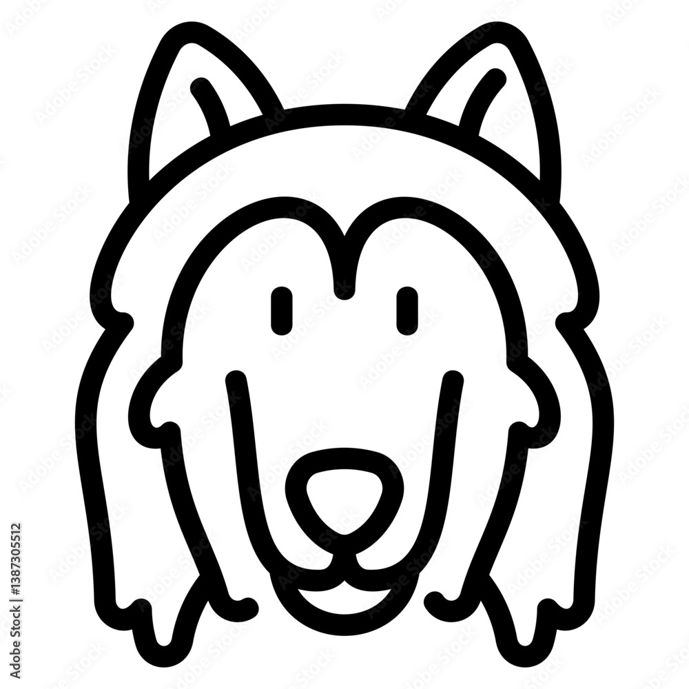 Fototapeta premium Collie