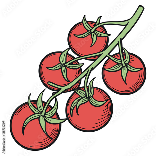 A bunch of ripe juicy red tomatoes on the vine isolated against a transparent background 