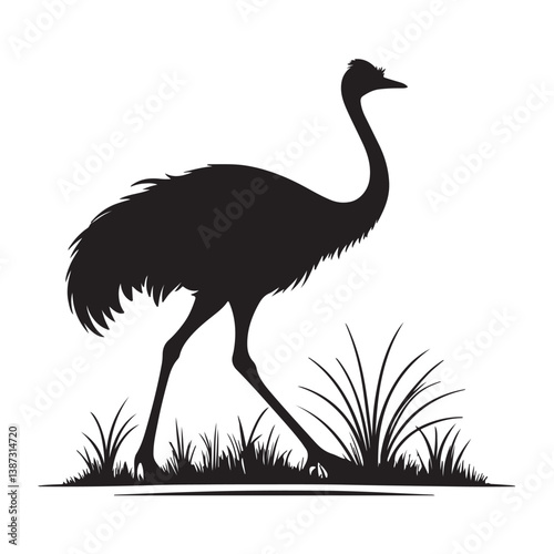A Ostrich Vector Silhouette 