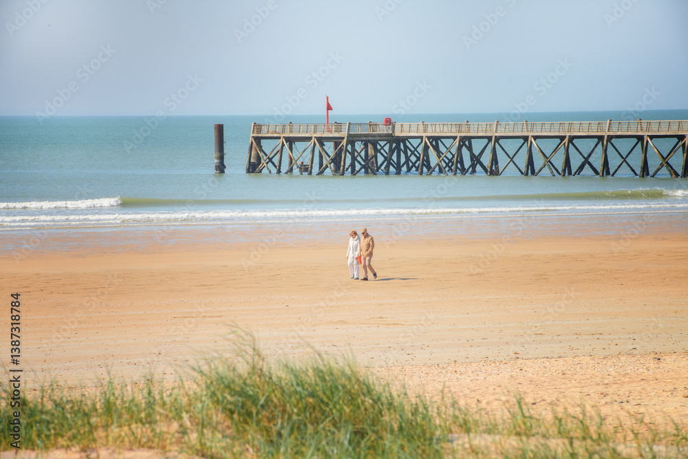Φωτογραφία Couple de personnes retraités qui se promenent sur une plage avec un ponton et l'océan en arrière plan
