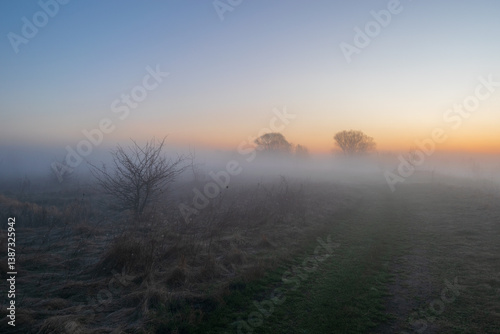 sunrise over the misty meadow