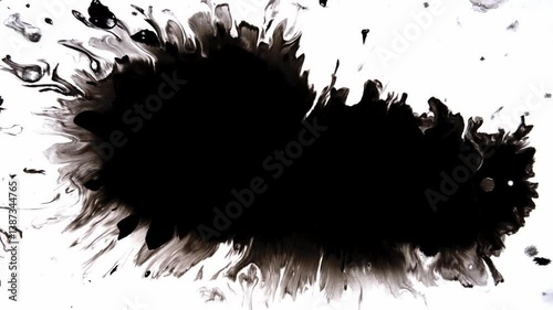 This artwork features dynamic black ink splashes beautifully contrasted against a white background