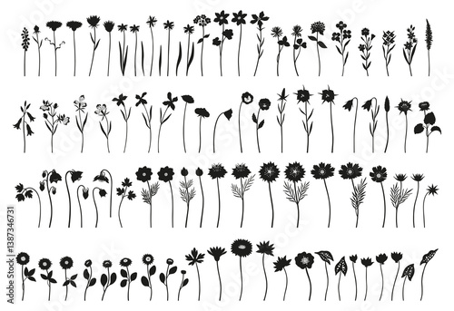 Wildflower detailed black silhouette set, minimal style. Hand drawn diverse meadow flowers, herbs, and wild plants. Botanical elements for design projects. Vector illustration
