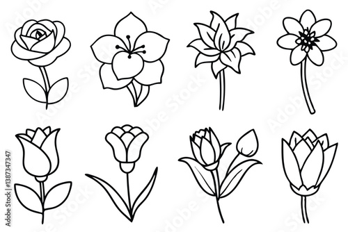flowers line art blooming design with fine lines and harmony 