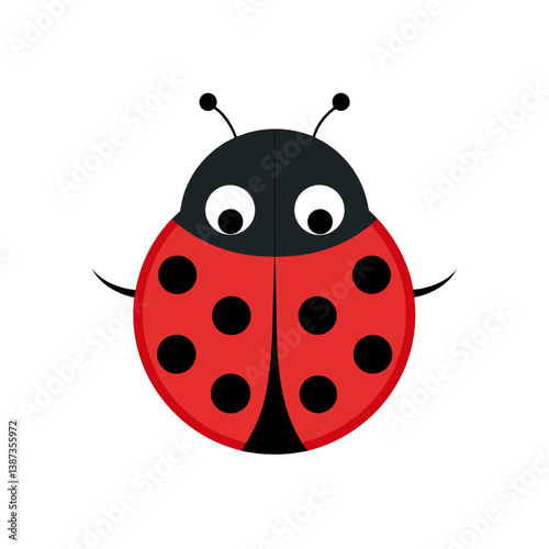ladybug on white background
