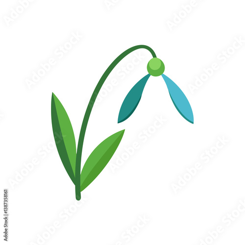 snowdrop flower isolated on white background
