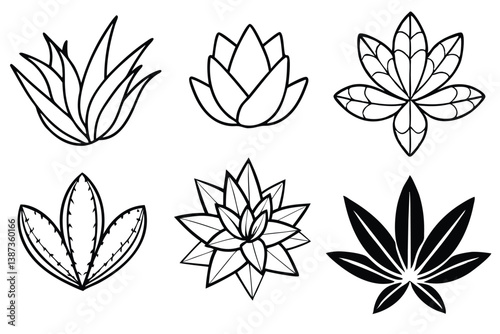 haworthia leaf line art illustration perfect for elegant wall prints  