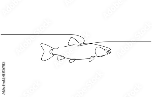Fresh salmon fish in continuous line art drawing style, Rudd, roach fish, perch, carp, crucian carp continuous line drawing. One line art of freshwater fish, seafood.