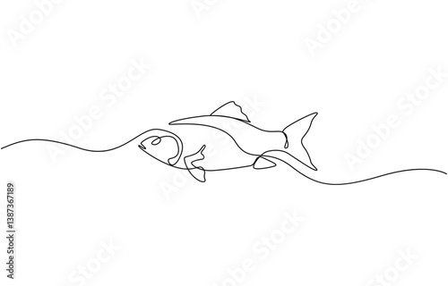 Fresh salmon fish in continuous line art drawing style, Rudd, roach fish, perch, carp, crucian carp continuous line drawing. One line art of freshwater fish, seafood.