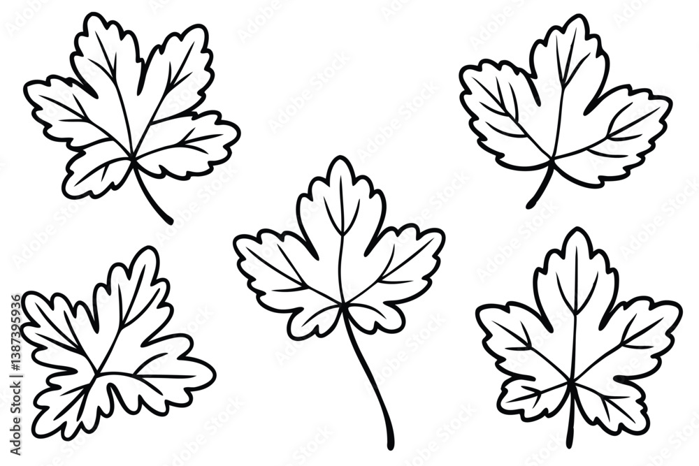 Obraz premium Geranium Leaf Line Art Illustration Creative Botanical Art for Prints 