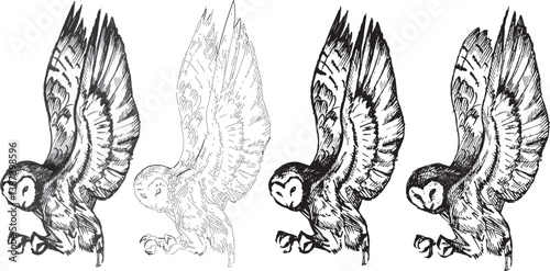 Graphic Design Element Dark scary Halloween animal bird sketch Set line drawing clipart owl bird gothic predatory animal contour sketch pen engraving style print witch theme illustration black & white