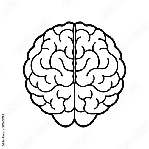 human brain vector line art