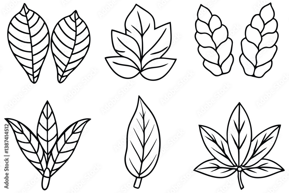 Ginger Leaf Line Art Illustration for Botanical Design Artwork Ginger Leaf Line Art Illustration for Botanical Design Artwork