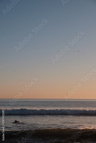 Surfer swimming in the ocean