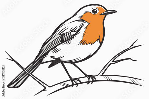 vector illustration of a bird