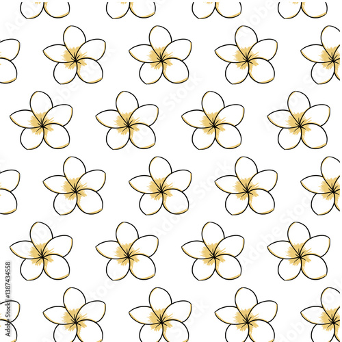 Frangipani or plumeria tropical flower Seamless Pattern Background. Yellow and black Frangipani isolated in white. Hand drawn vector sketch Outline illustration Line Art