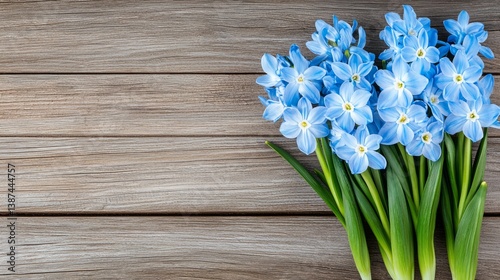 Flower wooden board weather. A vibrant bouquet of blue flowers against a rustic wooden background, evoking freshness and natural beauty.