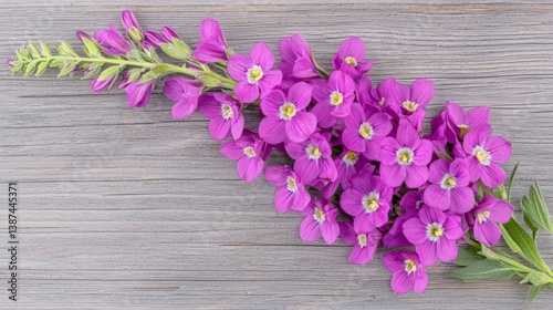 Flower wooden board weather. A vibrant cluster of purple flowers arranged on a rustic wooden background, showcasing their delicate petals and lush green foliage.