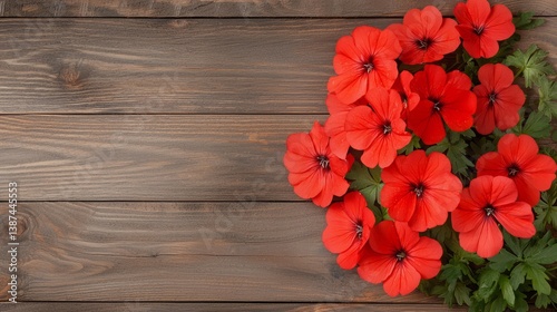 Flower wooden board weather. Vibrant red flowers arranged on a wooden surface, creating a warm and inviting atmosphere perfect for nature lovers.