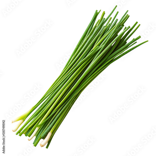 Wallpaper Mural Cluster of Chives with Slender Stems Isolated on Transparent Background Torontodigital.ca