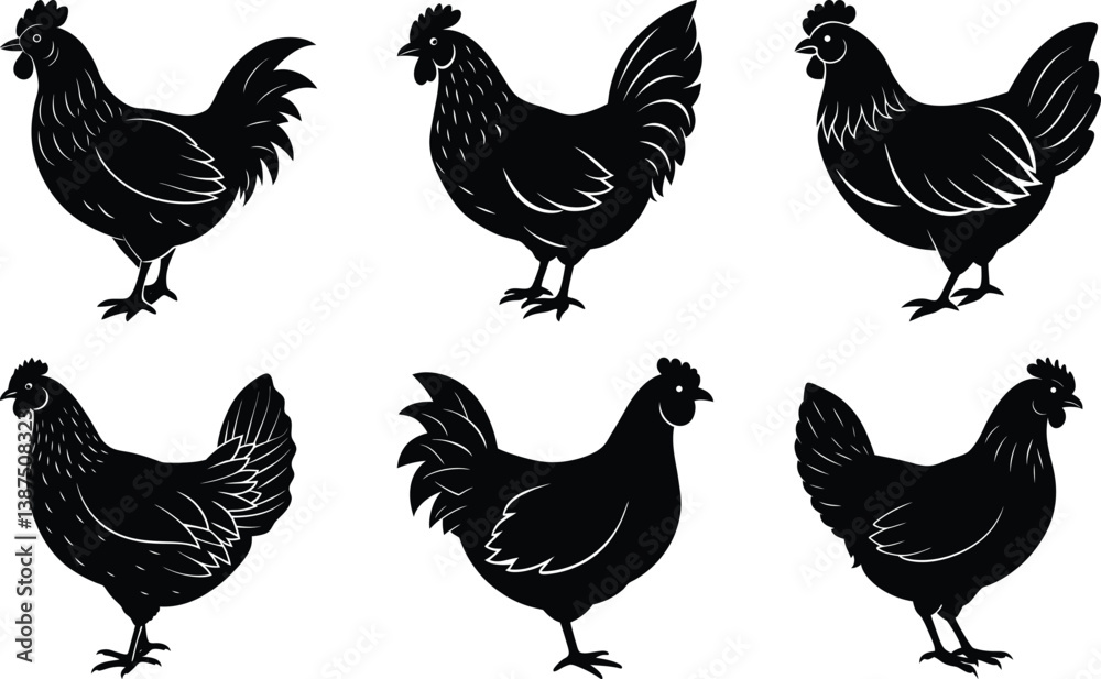 Fototapeta premium Chicken silhouette vector
