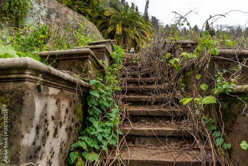Abandoned stone staircase in Novy Afon park, overgrown with ivy and moss. Leaves and stems add a touch of decay and mystery. Novy Afon, Abkhazia, Caucasus.