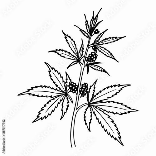 cannabis leaf white black design fine lines