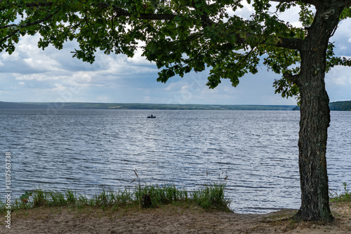 Different landscapes on the lake in summer.