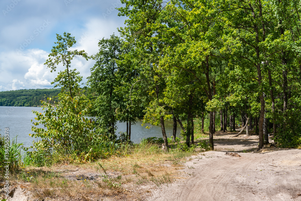 Fototapeta premium Different landscapes on the lake in summer.