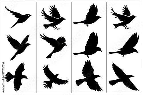 A panel of bird silhouettes in motion, symbolizing flight, freedom, and peacefulness