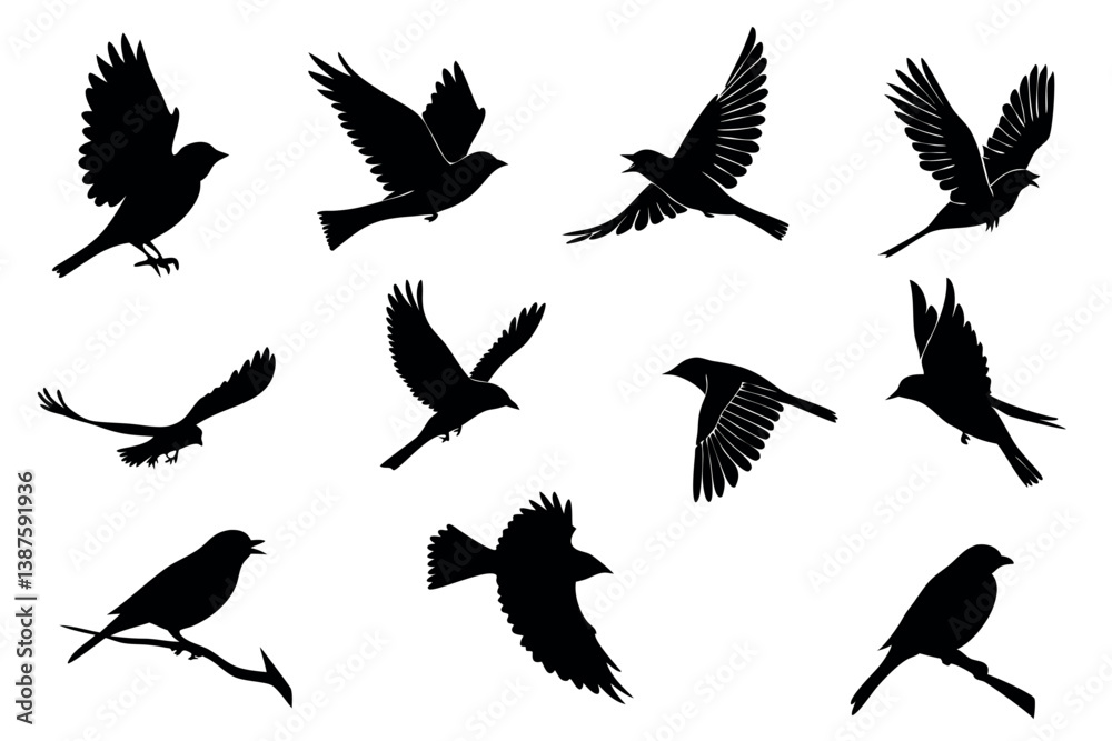 Obraz premium Elegant black and white bird illustrations in flight, perfect for representing nature and tranquility