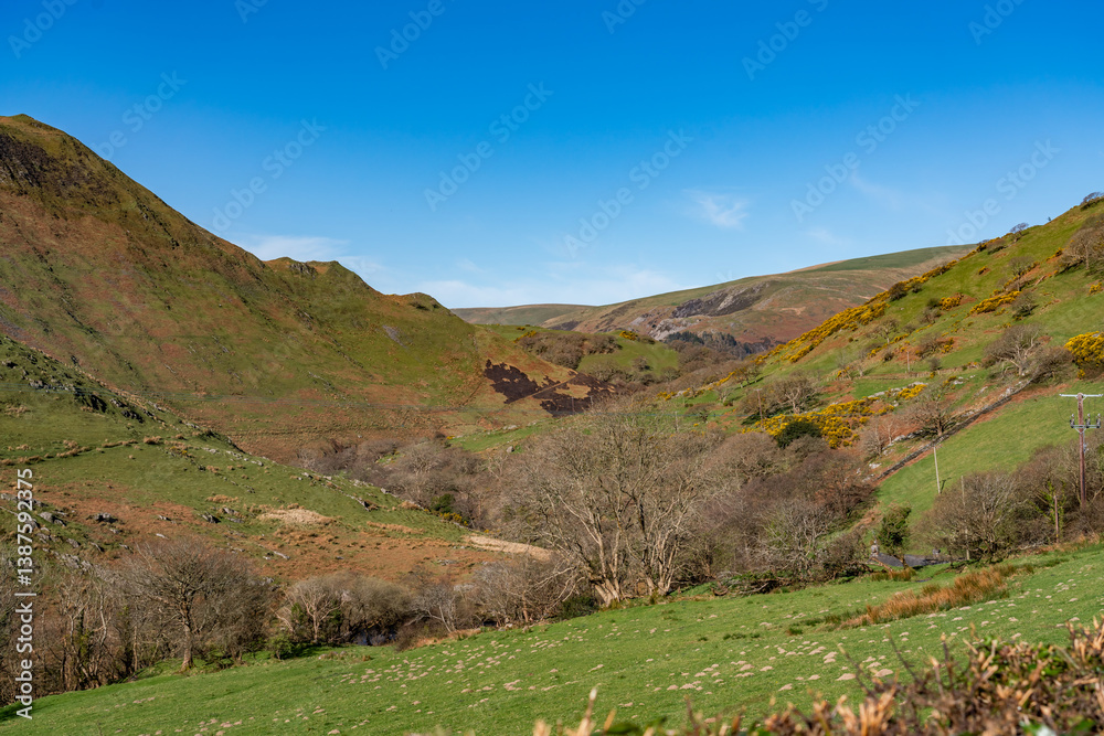 Fototapeta premium Views around Mid Wales