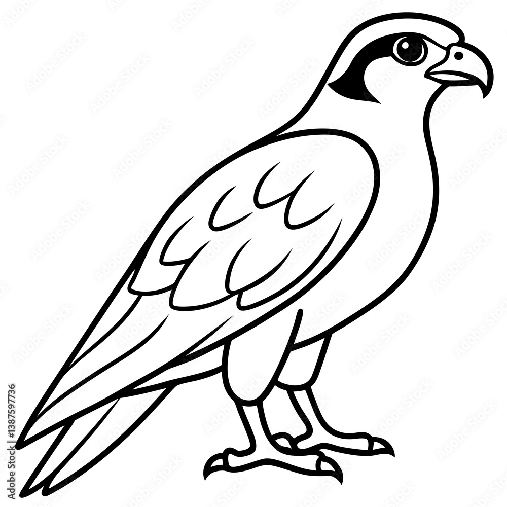 Fototapeta premium Clean and Modern Falcon Line Art