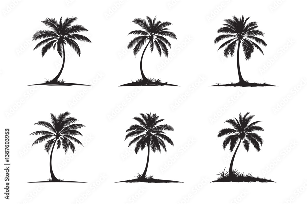 Fototapeta premium A coconut tree silhouette black colour with white bacground.