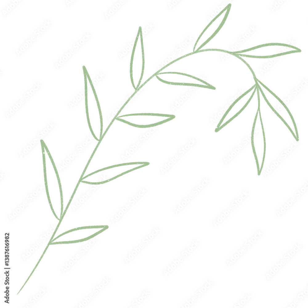 Fototapeta premium digital pencil artwork png strand of leaves
