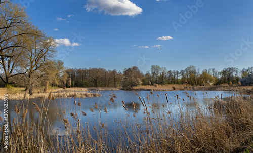 A beautiful spring day at the Raszyn Ponds, Mazovia, Poland
