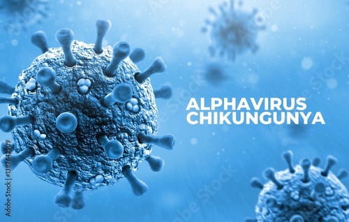 Alphavirus chikungunya New diseases Virus Outbreak