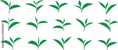 Tea Leaf icon in flat set. botany, bio, organic, vegetarian, fresh, nature symbol isolated on transparent background
