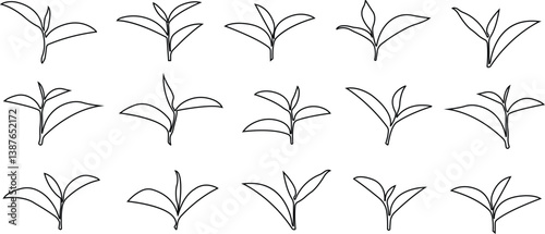 Tea Leaf icon in line set. botany, bio, organic, vegetarian, fresh, nature symbol isolated on transparent background