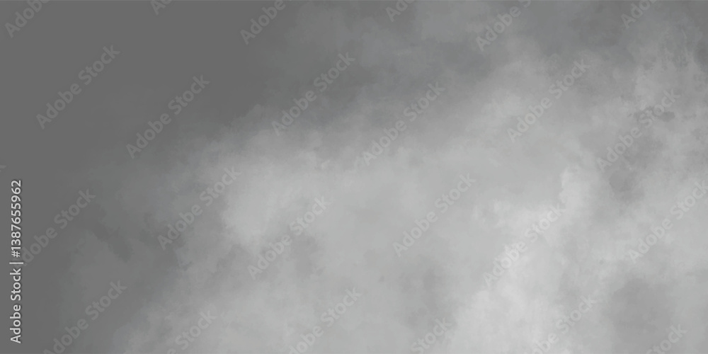 Fototapeta premium Overcast Sky Background with Light Fog and Grayscale Aesthetic Perfect for Film Posters or UI Elements