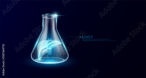 Liver transparent in beaker glass triangle test tube on dark blue background. Internal organ anatomy sample medical science experiment. Research genetic scientific concept. Vector EPS10.
