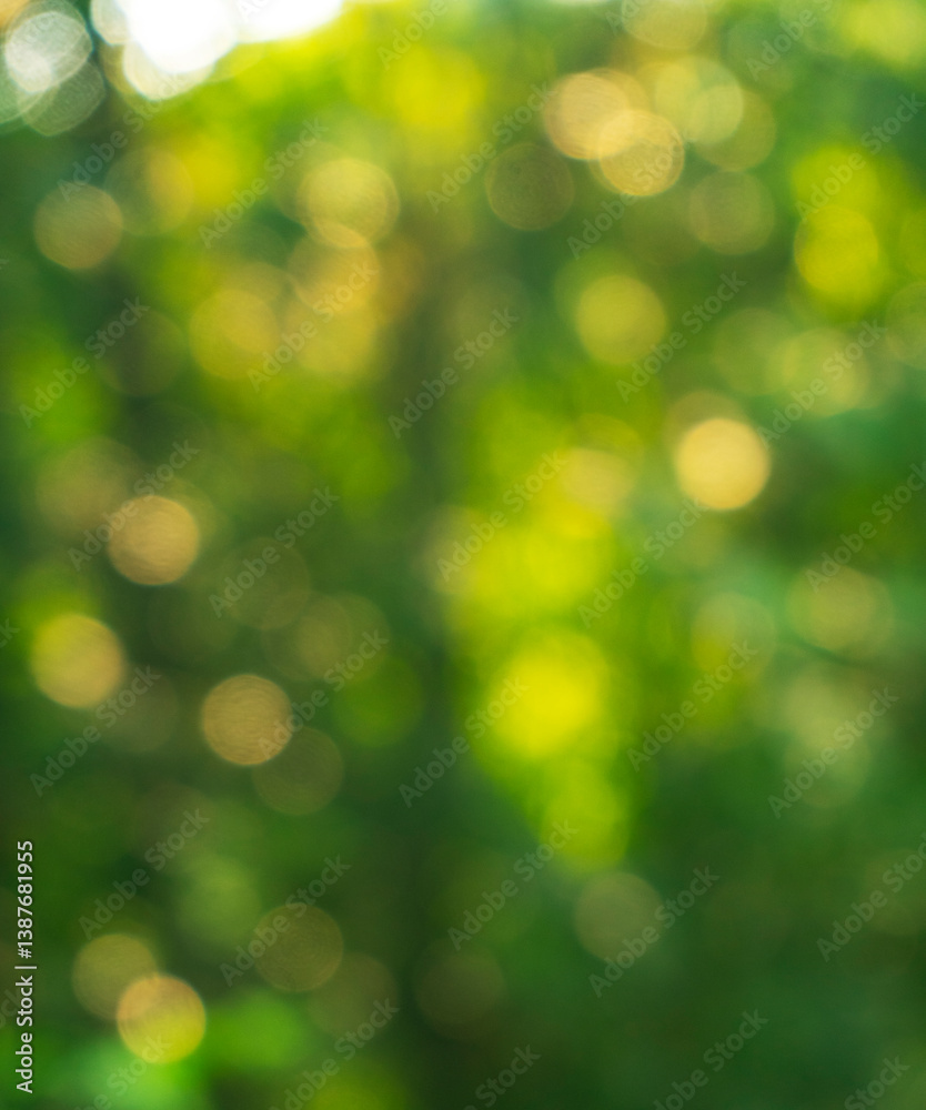 Obraz premium De-focused green leaves and light background 