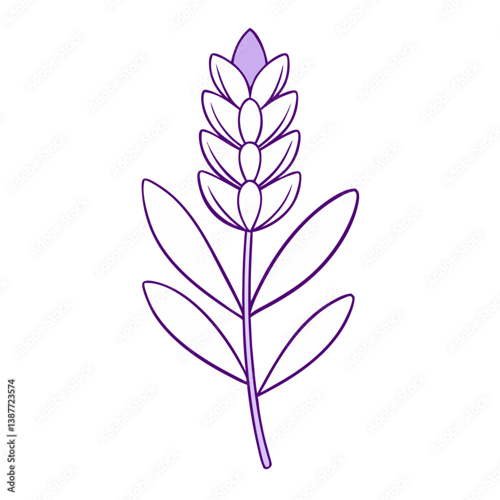 Naklejka premium Lavender Flower Coloring Book Page – Elegant Line Art Drawing for Relaxation