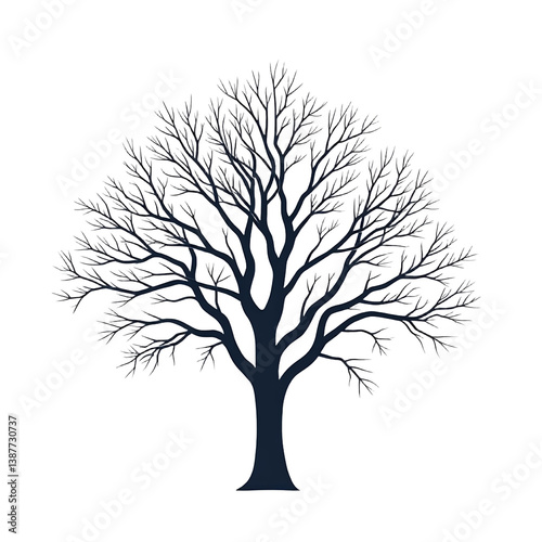 Bare_Tree_Silhouette_on_Black_Background