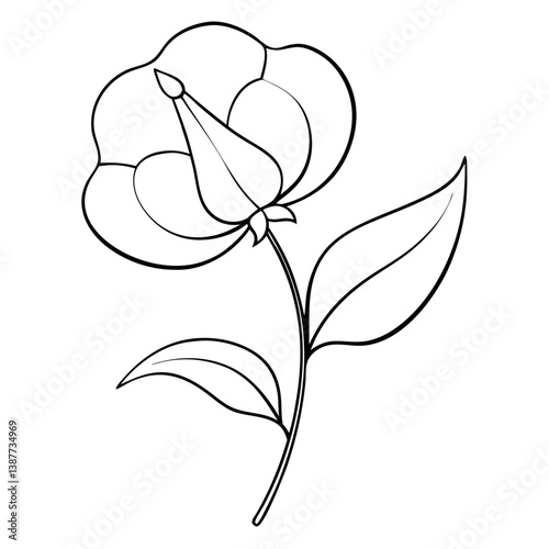 Sweet Pea Flower Coloring Book Page Line Art Drawing