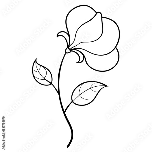 Sweet Pea Flower Coloring Book Page Line Art Drawing
