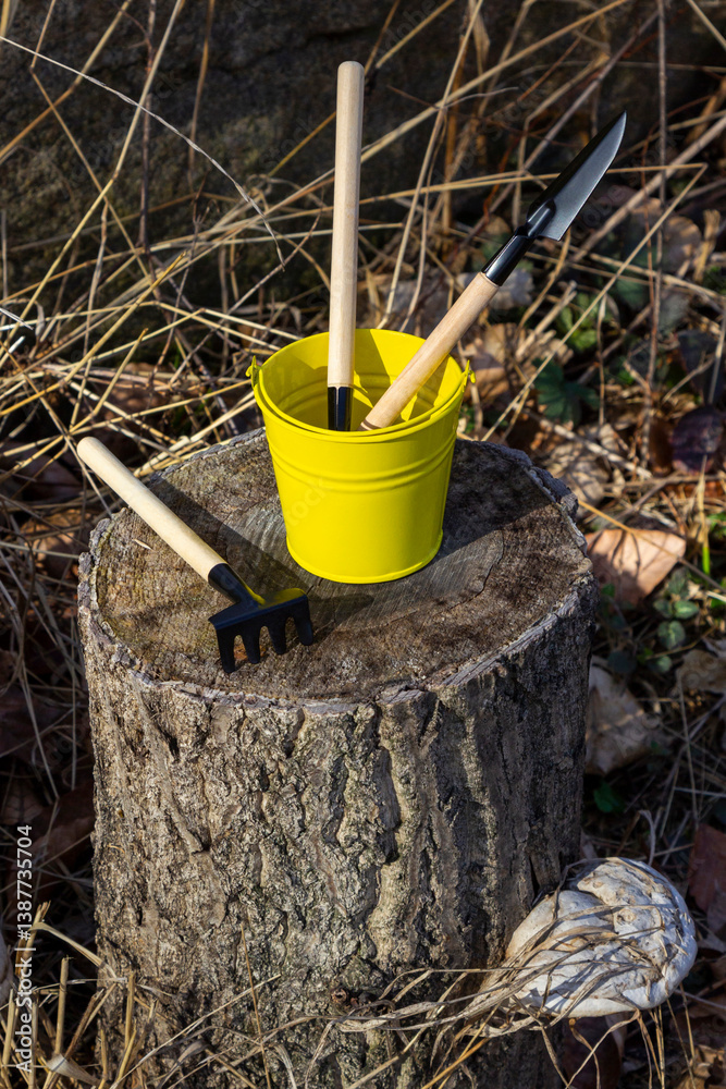 Installation of garden tools for planting on a stump. Yellow bucket, shovel, rake and scoop. Top view