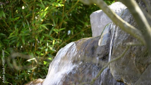 A small stream of water is flowing down a rock. The rock is surrounded by green leaves. The water is clear and calm