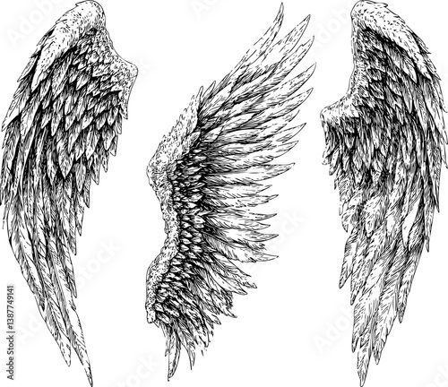 A set of three angel wings, a hand-drawn vector illustration clip art on a white background